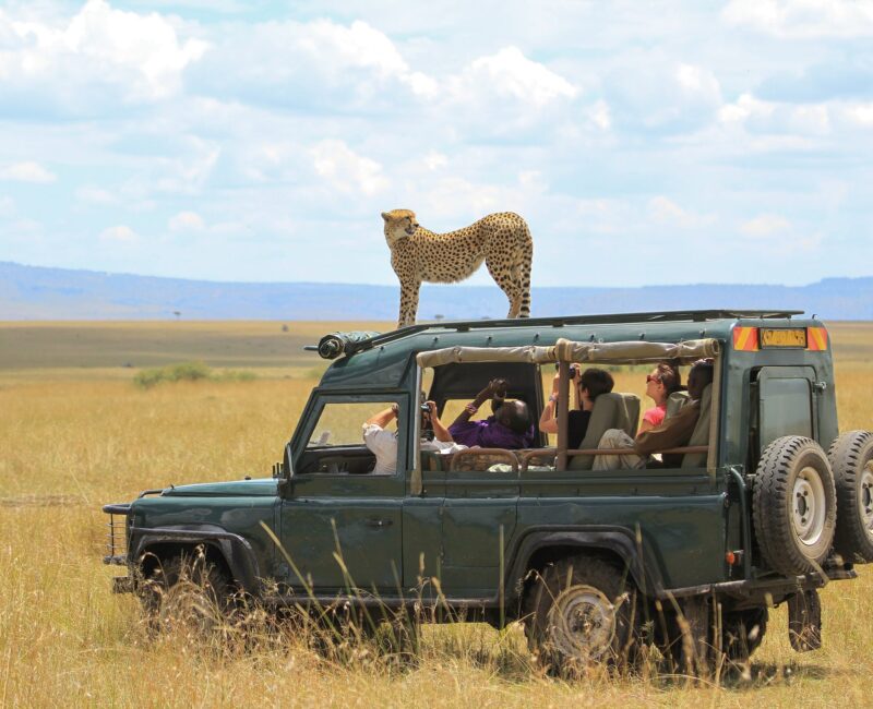 Kenya Uganda Birding Safari